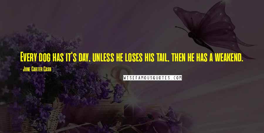 June Carter Cash Quotes: Every dog has it's day, unless he loses his tail, then he has a weakend.