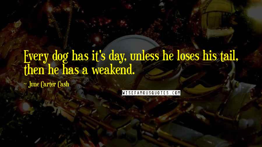 June Carter Cash Quotes: Every dog has it's day, unless he loses his tail, then he has a weakend.
