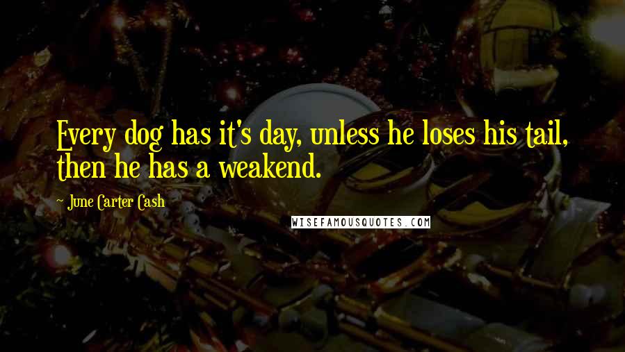 June Carter Cash Quotes: Every dog has it's day, unless he loses his tail, then he has a weakend.