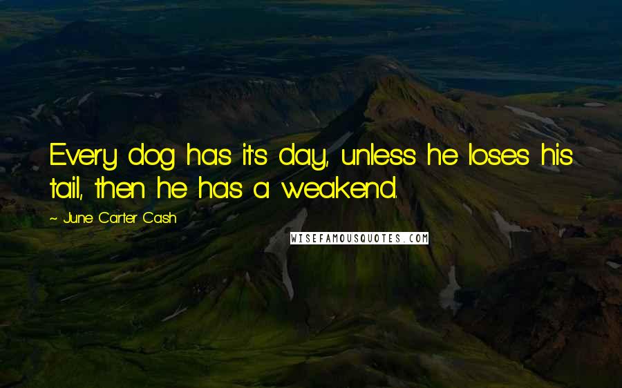 June Carter Cash Quotes: Every dog has it's day, unless he loses his tail, then he has a weakend.