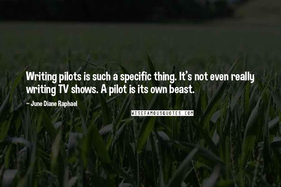 June Diane Raphael Quotes: Writing pilots is such a specific thing. It's not even really writing TV shows. A pilot is its own beast.