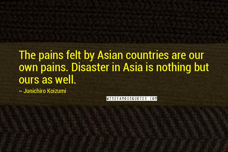 Junichiro Koizumi Quotes: The pains felt by Asian countries are our own pains. Disaster in Asia is nothing but ours as well.