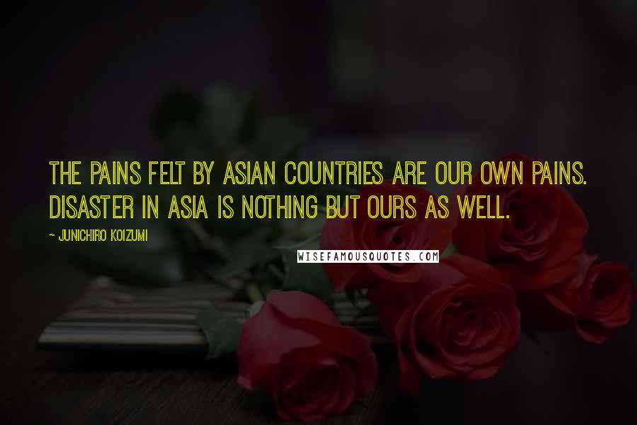 Junichiro Koizumi Quotes: The pains felt by Asian countries are our own pains. Disaster in Asia is nothing but ours as well.