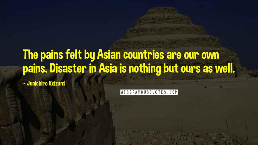 Junichiro Koizumi Quotes: The pains felt by Asian countries are our own pains. Disaster in Asia is nothing but ours as well.