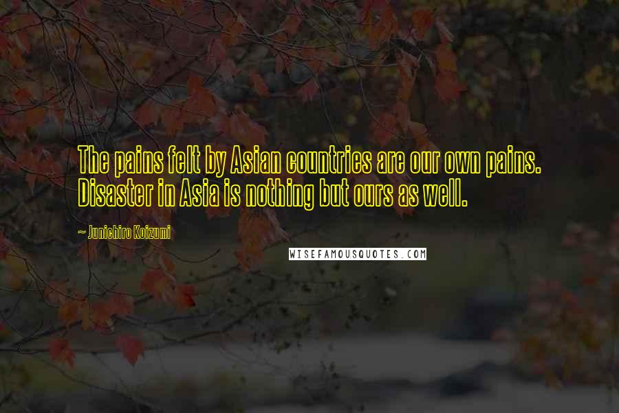 Junichiro Koizumi Quotes: The pains felt by Asian countries are our own pains. Disaster in Asia is nothing but ours as well.