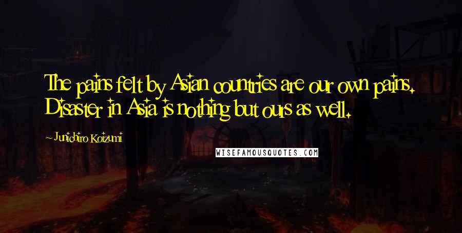 Junichiro Koizumi Quotes: The pains felt by Asian countries are our own pains. Disaster in Asia is nothing but ours as well.