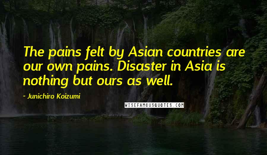 Junichiro Koizumi Quotes: The pains felt by Asian countries are our own pains. Disaster in Asia is nothing but ours as well.