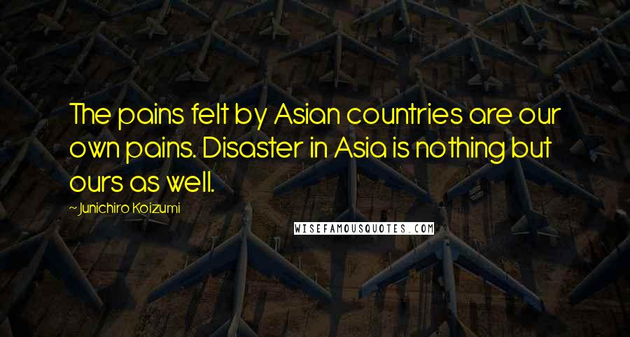 Junichiro Koizumi Quotes: The pains felt by Asian countries are our own pains. Disaster in Asia is nothing but ours as well.