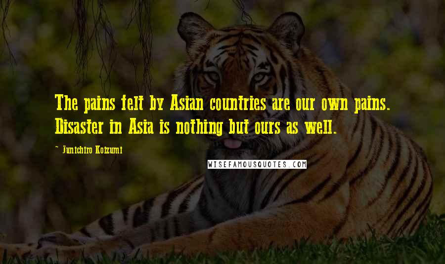 Junichiro Koizumi Quotes: The pains felt by Asian countries are our own pains. Disaster in Asia is nothing but ours as well.