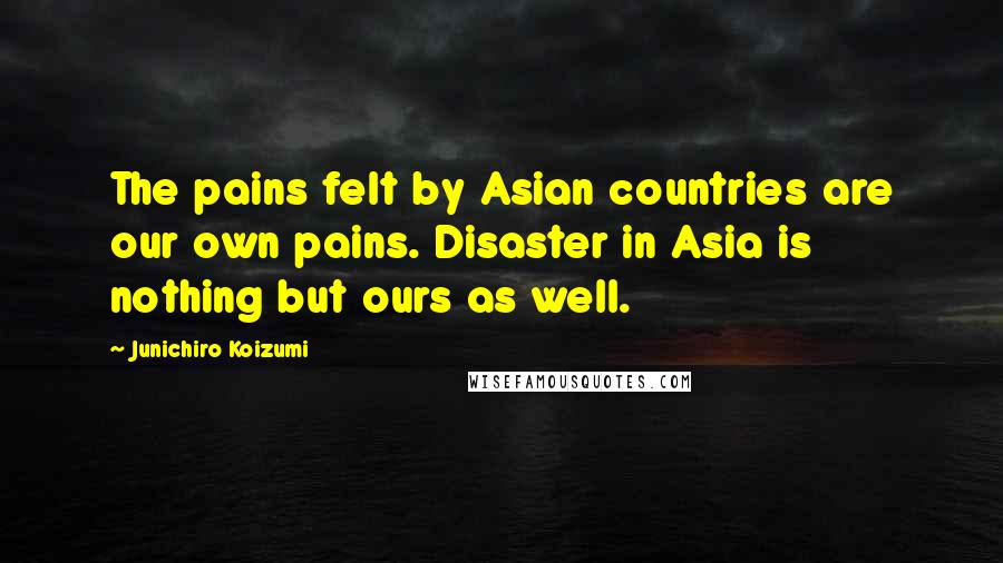 Junichiro Koizumi Quotes: The pains felt by Asian countries are our own pains. Disaster in Asia is nothing but ours as well.
