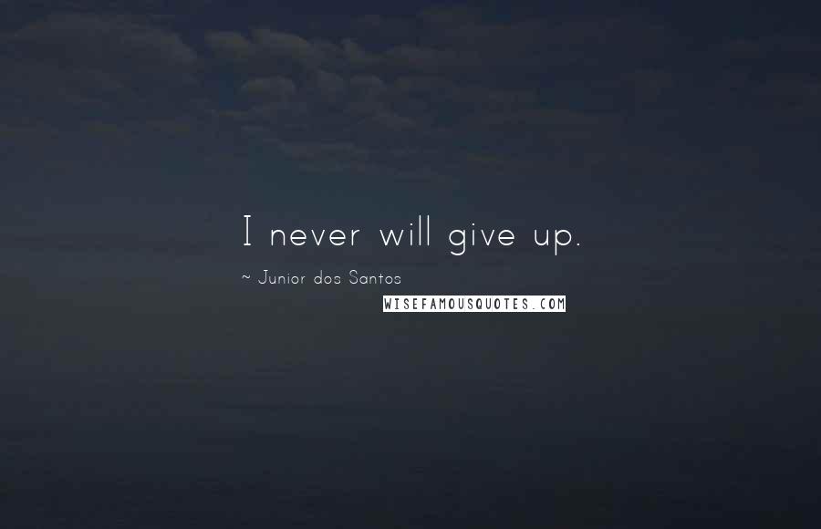 Junior Dos Santos Quotes: I never will give up.