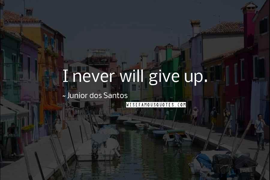 Junior Dos Santos Quotes: I never will give up.