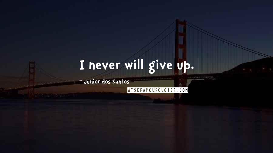 Junior Dos Santos Quotes: I never will give up.