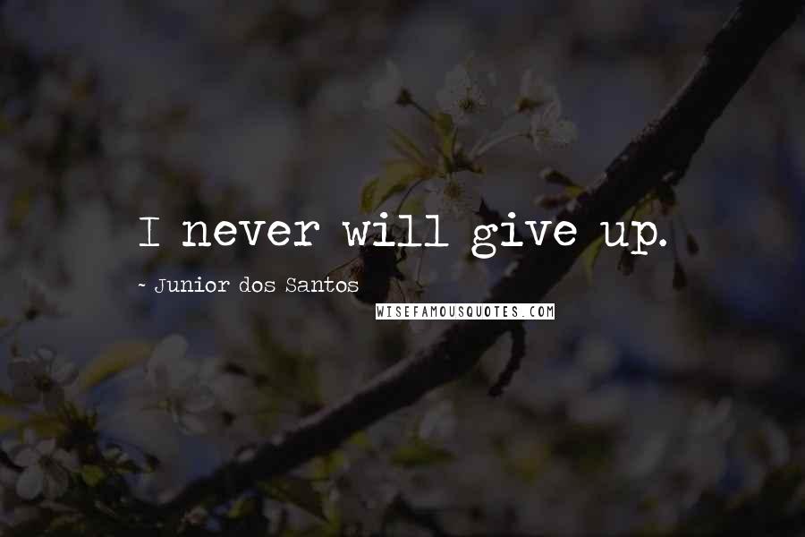 Junior Dos Santos Quotes: I never will give up.