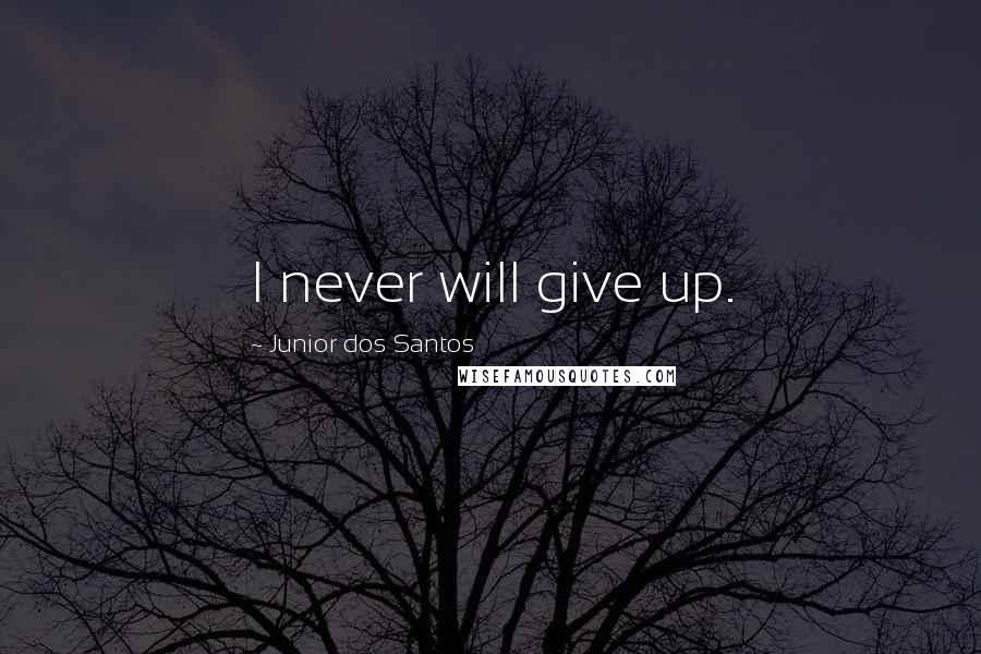 Junior Dos Santos Quotes: I never will give up.