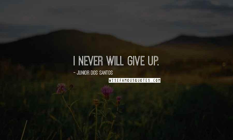 Junior Dos Santos Quotes: I never will give up.