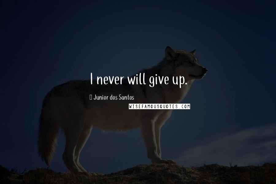 Junior Dos Santos Quotes: I never will give up.