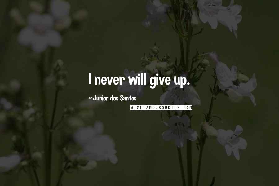 Junior Dos Santos Quotes: I never will give up.