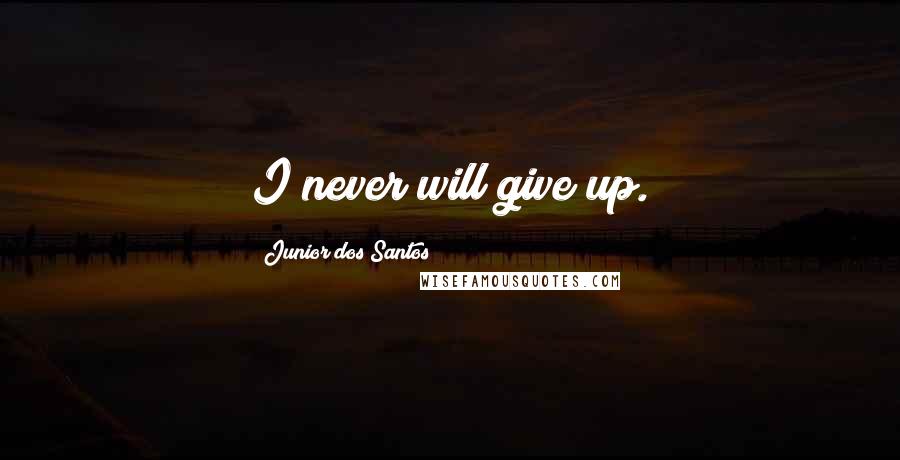 Junior Dos Santos Quotes: I never will give up.