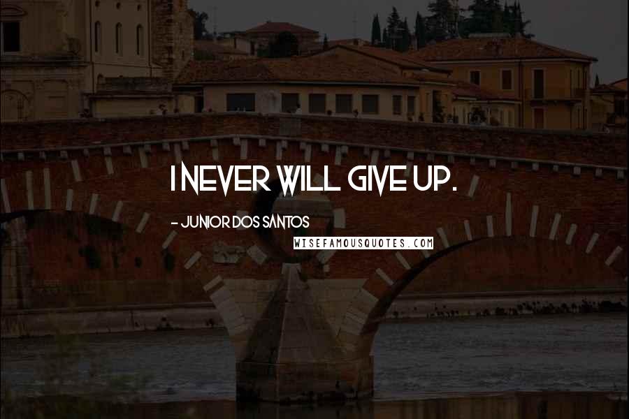 Junior Dos Santos Quotes: I never will give up.