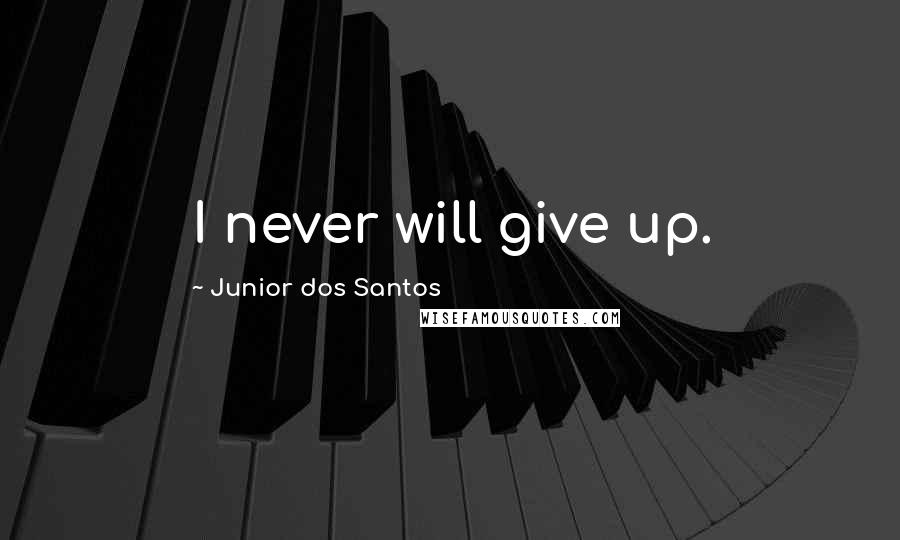 Junior Dos Santos Quotes: I never will give up.
