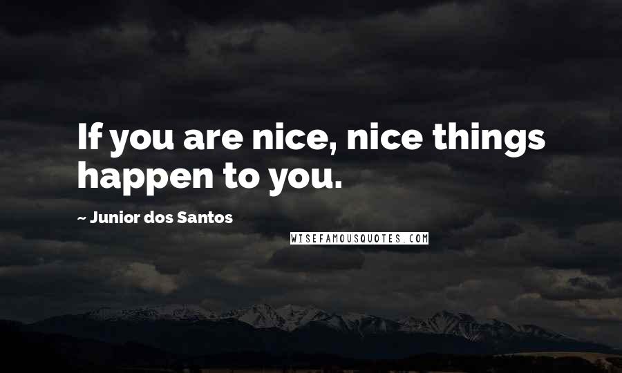 Junior Dos Santos Quotes: If you are nice, nice things happen to you.