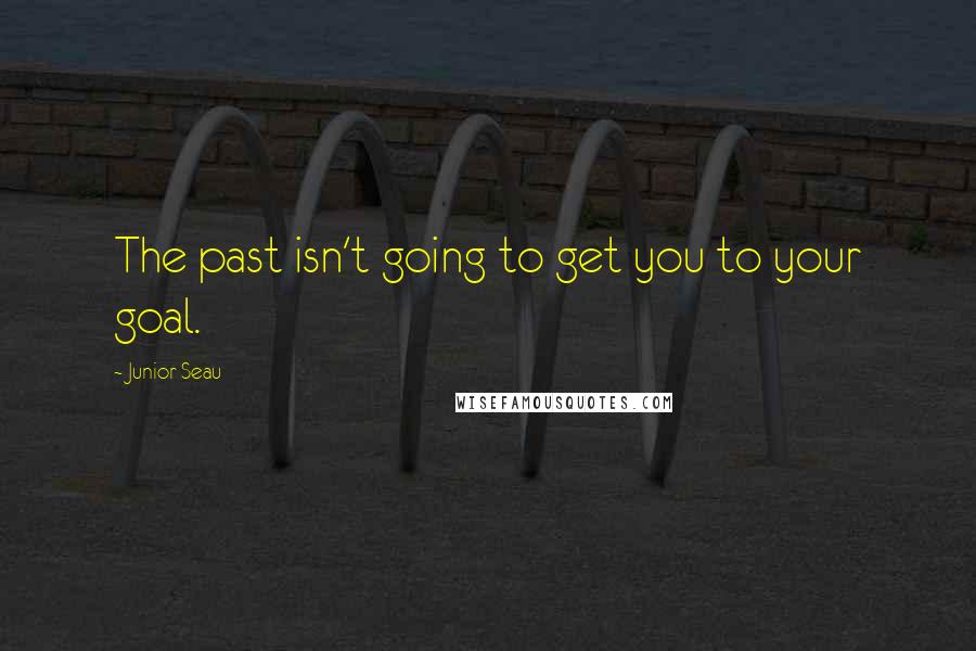 Junior Seau Quotes: The past isn't going to get you to your goal.