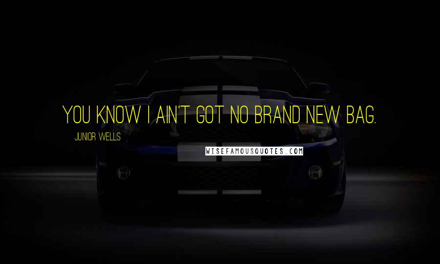 Junior Wells Quotes: You know I ain't got no brand new bag.
