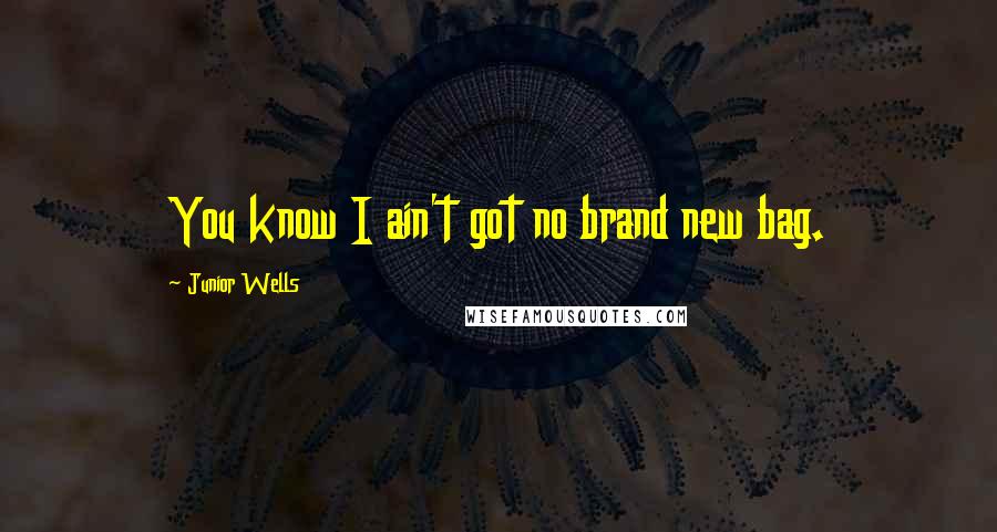 Junior Wells Quotes: You know I ain't got no brand new bag.