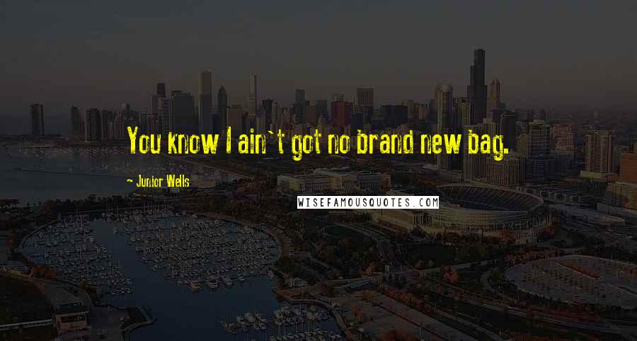 Junior Wells Quotes: You know I ain't got no brand new bag.