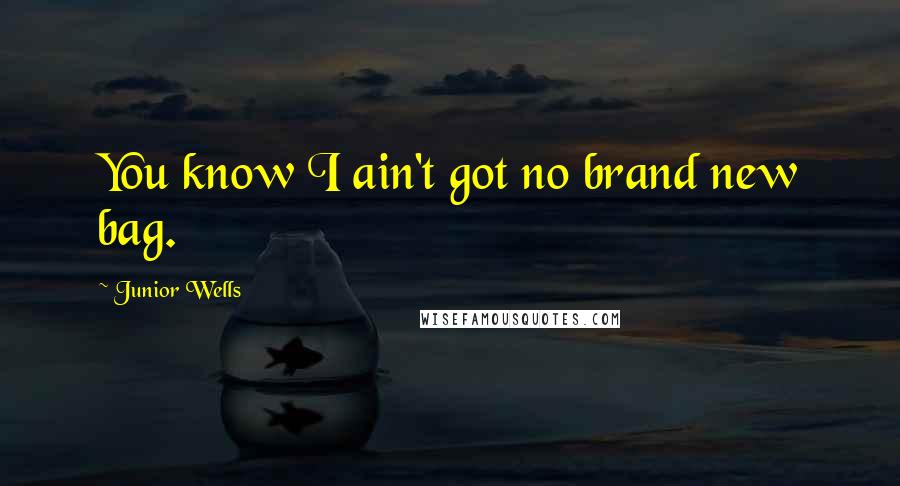 Junior Wells Quotes: You know I ain't got no brand new bag.