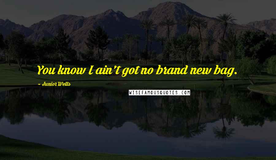 Junior Wells Quotes: You know I ain't got no brand new bag.