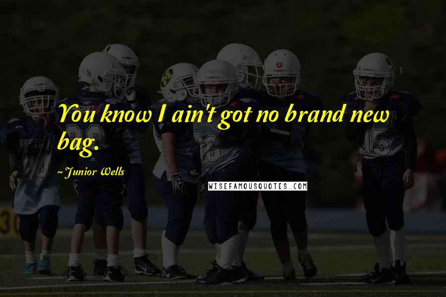 Junior Wells Quotes: You know I ain't got no brand new bag.