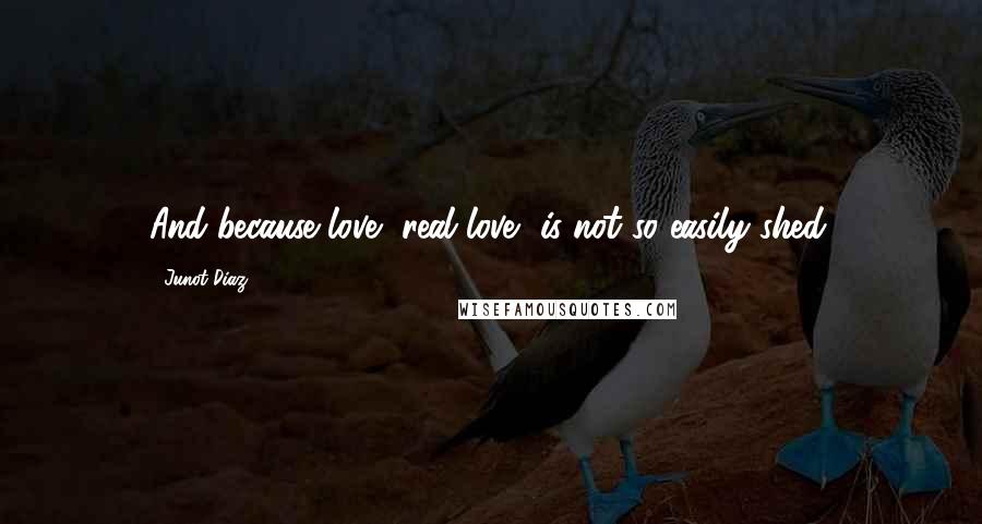 Junot Diaz Quotes: And because love, real love, is not so easily shed.
