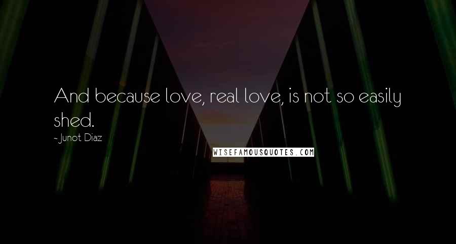 Junot Diaz Quotes: And because love, real love, is not so easily shed.