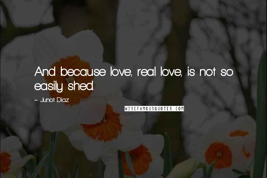 Junot Diaz Quotes: And because love, real love, is not so easily shed.