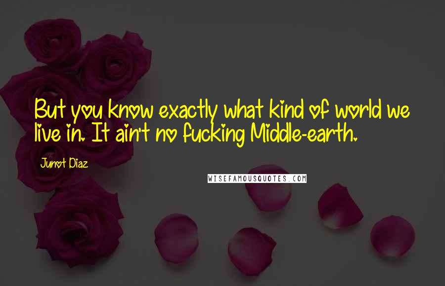 Junot Diaz Quotes: But you know exactly what kind of world we live in. It ain't no fucking Middle-earth.