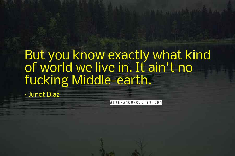 Junot Diaz Quotes: But you know exactly what kind of world we live in. It ain't no fucking Middle-earth.
