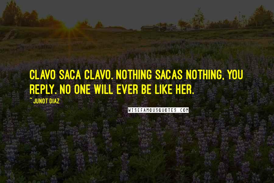 Junot Diaz Quotes: Clavo saca clavo. Nothing sacas nothing, you reply. No one will ever be like her.