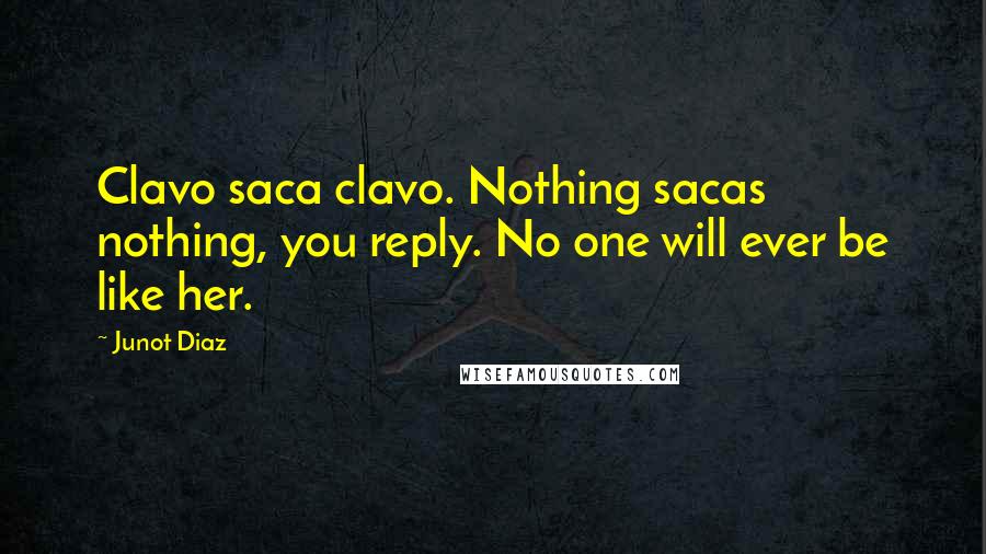 Junot Diaz Quotes: Clavo saca clavo. Nothing sacas nothing, you reply. No one will ever be like her.