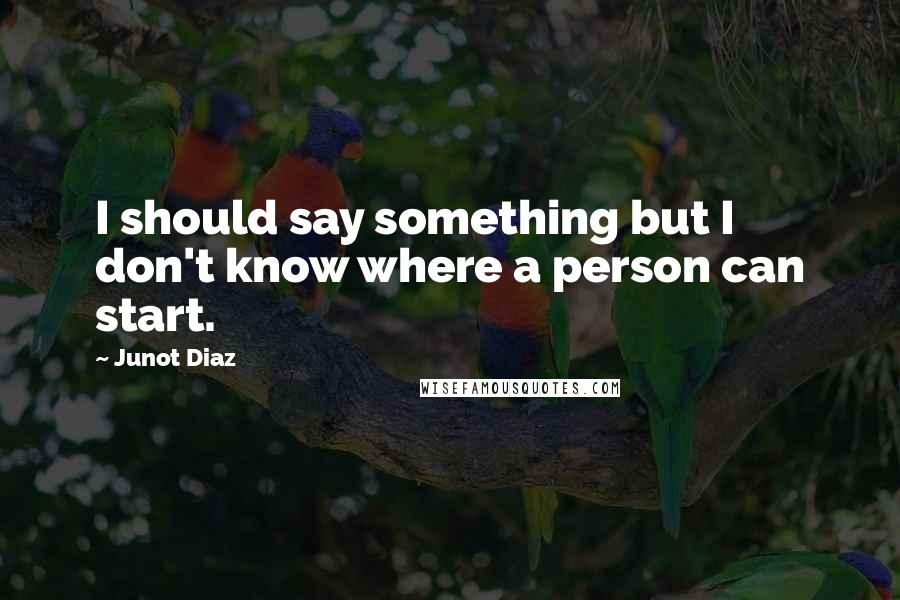 Junot Diaz Quotes: I should say something but I don't know where a person can start.