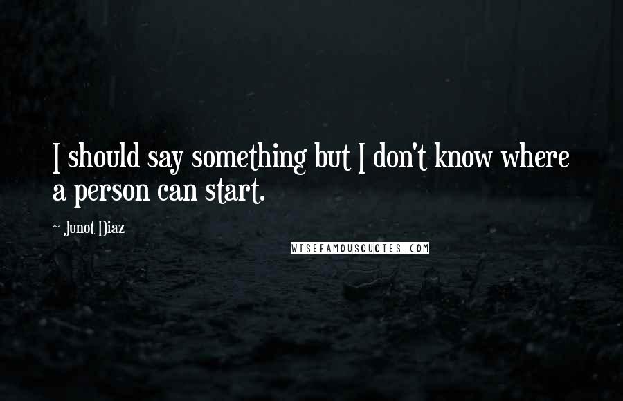 Junot Diaz Quotes: I should say something but I don't know where a person can start.
