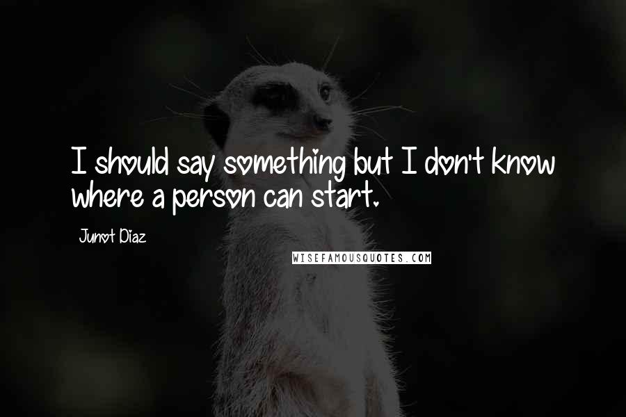 Junot Diaz Quotes: I should say something but I don't know where a person can start.