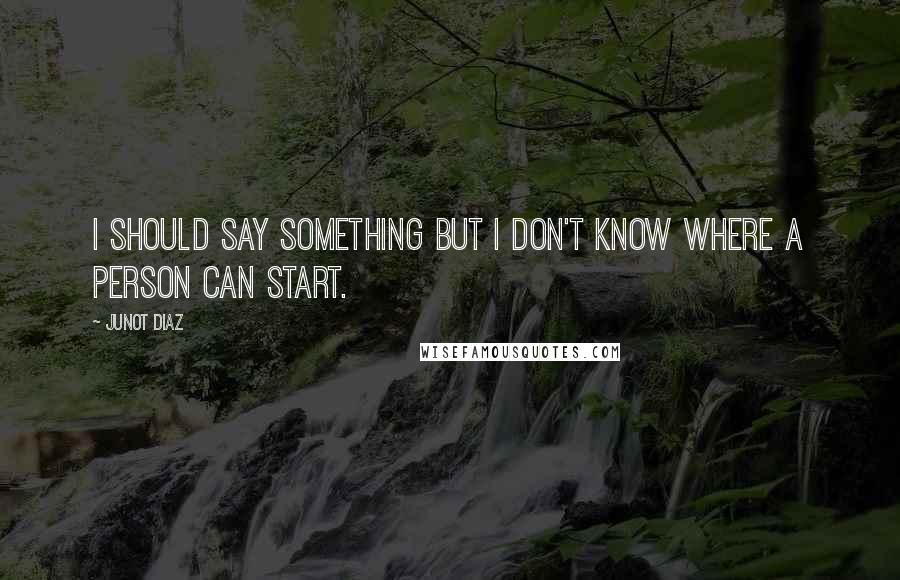 Junot Diaz Quotes: I should say something but I don't know where a person can start.