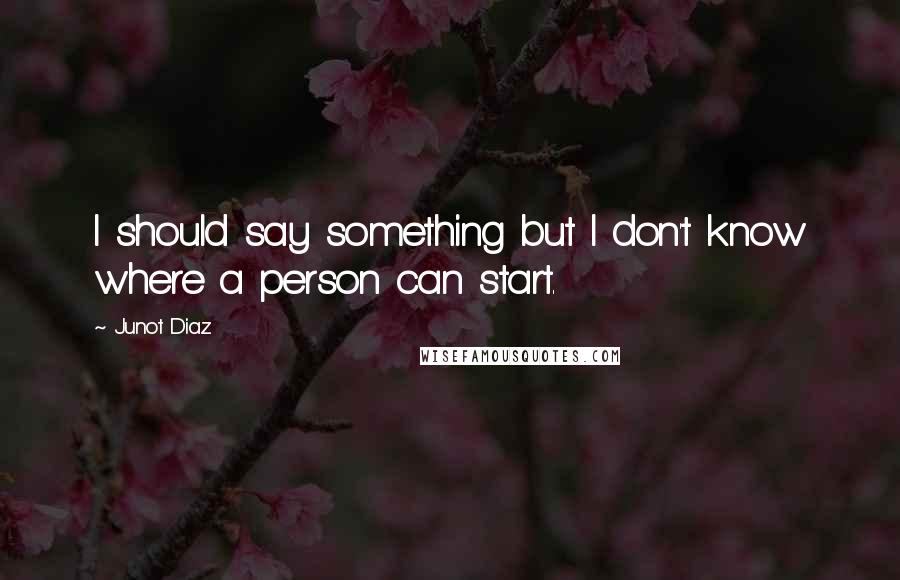 Junot Diaz Quotes: I should say something but I don't know where a person can start.