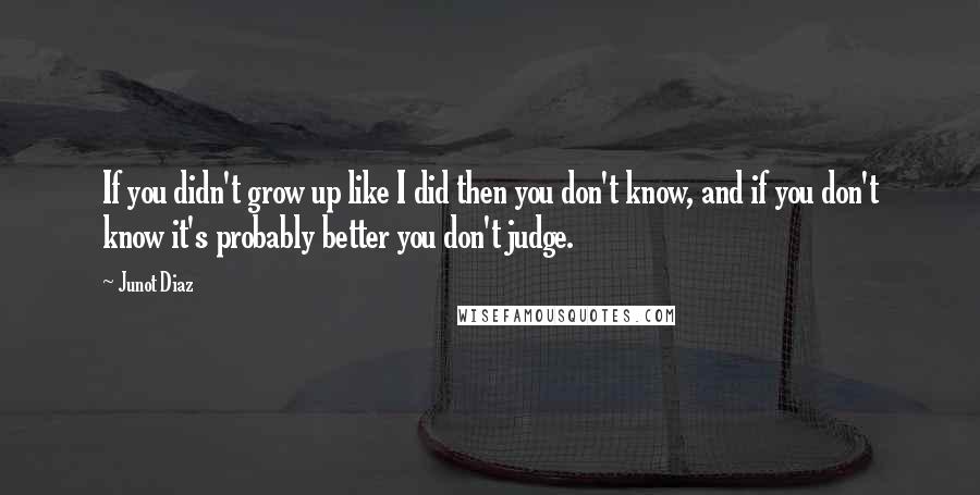 Junot Diaz Quotes: If you didn't grow up like I did then you don't know, and if you don't know it's probably better you don't judge.