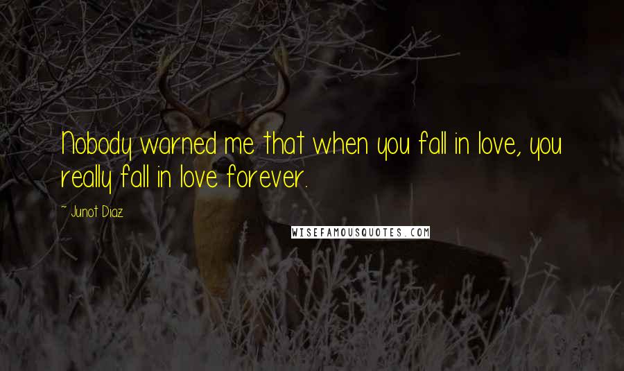 Junot Diaz Quotes: Nobody warned me that when you fall in love, you really fall in love forever.