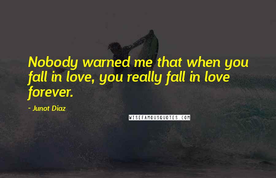 Junot Diaz Quotes: Nobody warned me that when you fall in love, you really fall in love forever.