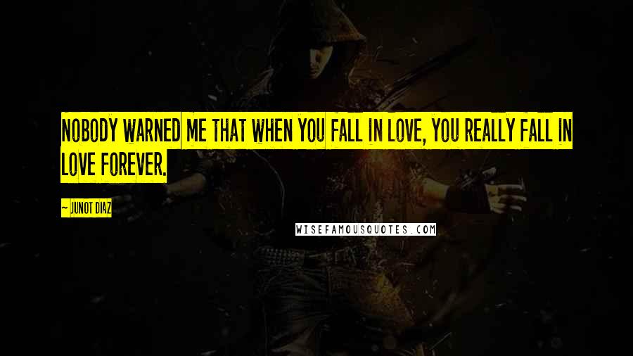 Junot Diaz Quotes: Nobody warned me that when you fall in love, you really fall in love forever.