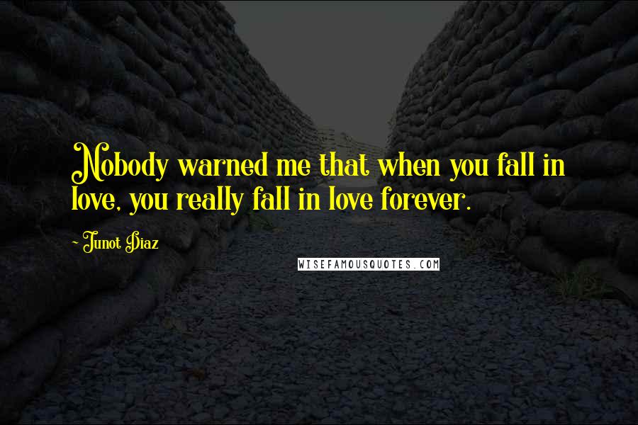 Junot Diaz Quotes: Nobody warned me that when you fall in love, you really fall in love forever.